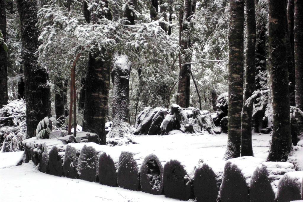 Cabana Rustica Patagonia Chilena Coñaripe 客房 照片