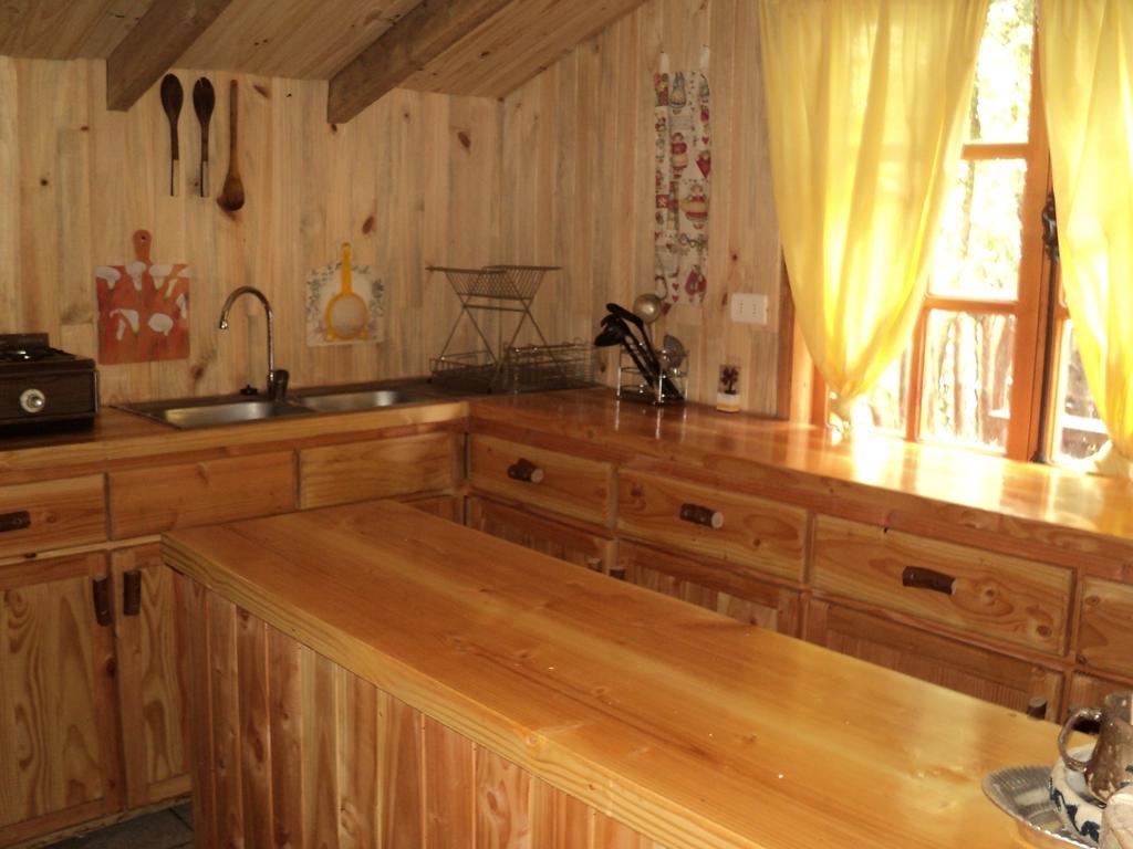 Cabana Rustica Patagonia Chilena Coñaripe 客房 照片