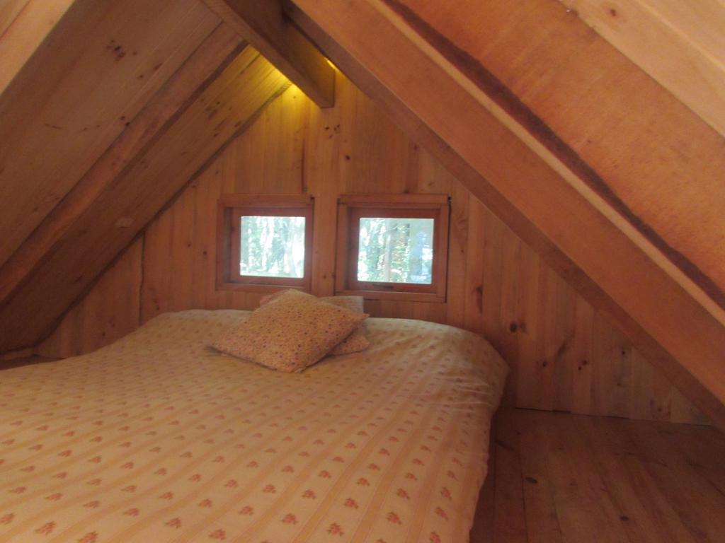 Cabana Rustica Patagonia Chilena Coñaripe 客房 照片