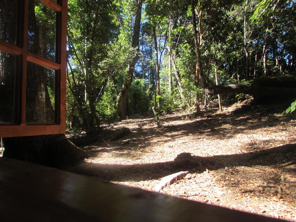Cabana Rustica Patagonia Chilena Coñaripe 客房 照片
