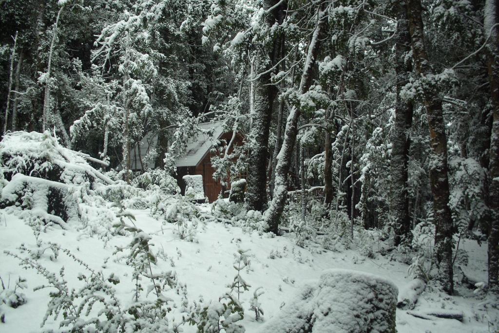 CoñaripeCabana Rustica Patagonia Chilena别墅 客房 照片