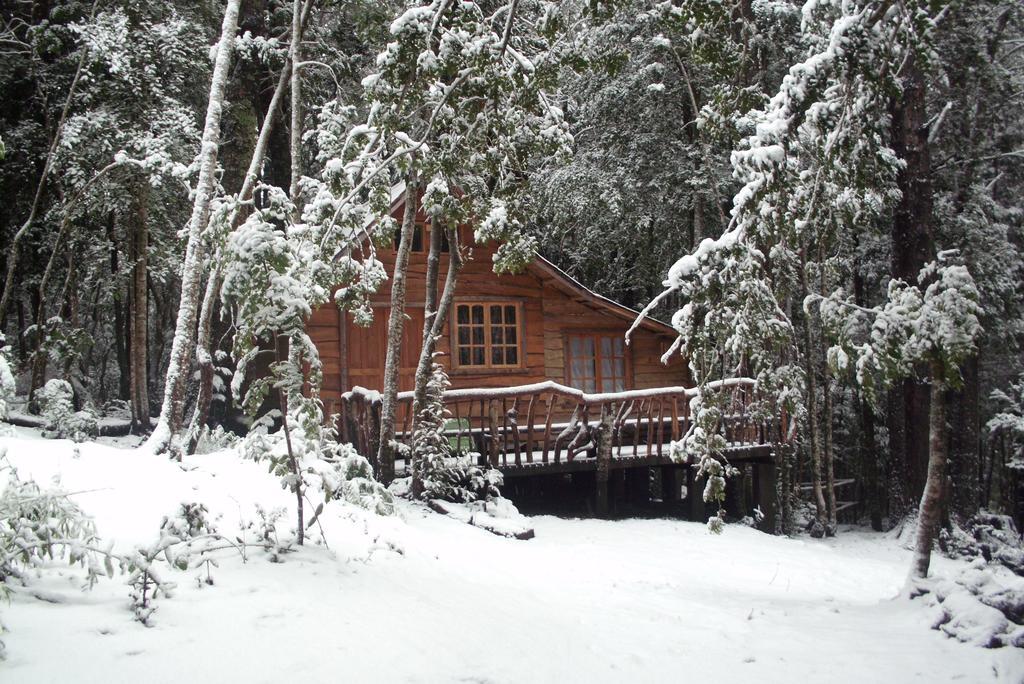 Cabana Rustica Patagonia Chilena Coñaripe 客房 照片