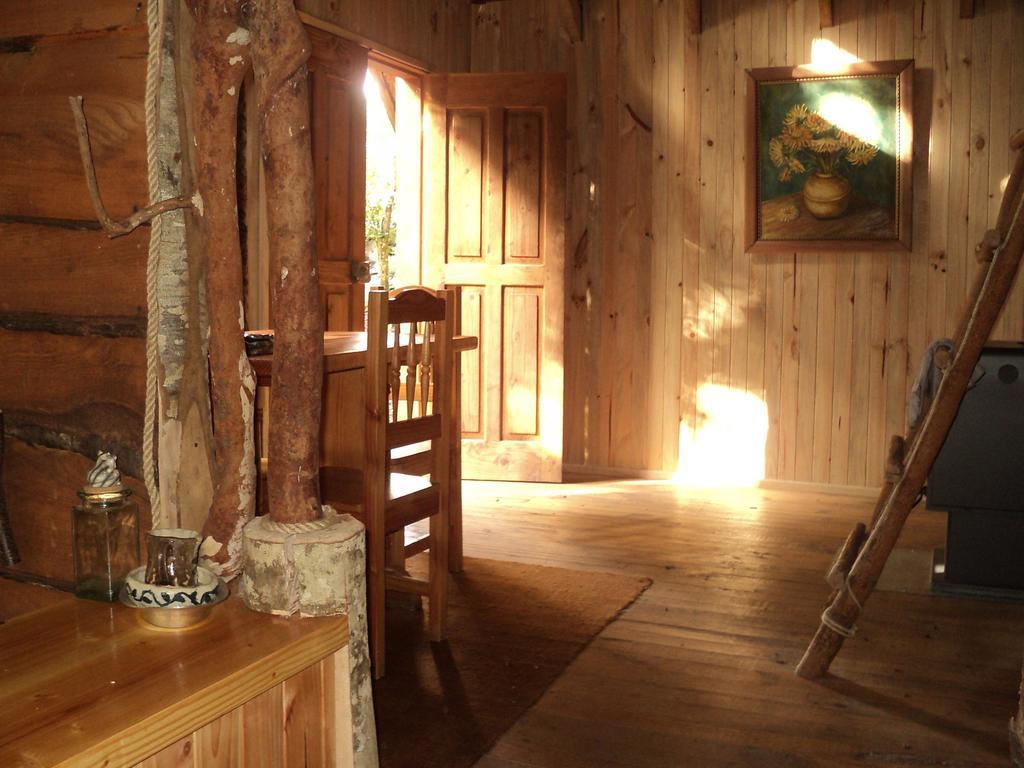 Cabana Rustica Patagonia Chilena Coñaripe 客房 照片