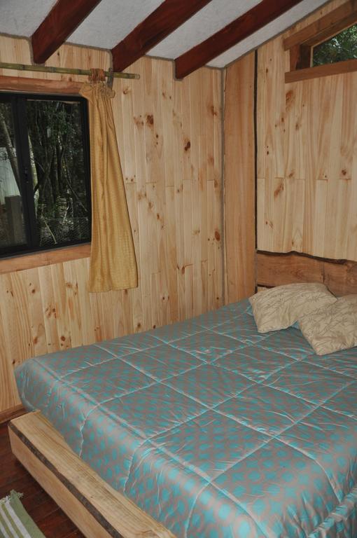 Cabana Rustica Patagonia Chilena Coñaripe 外观 照片