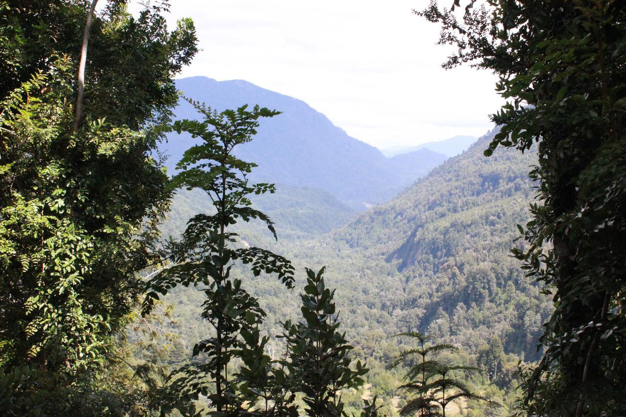Cabana Rustica Patagonia Chilena Coñaripe 外观 照片