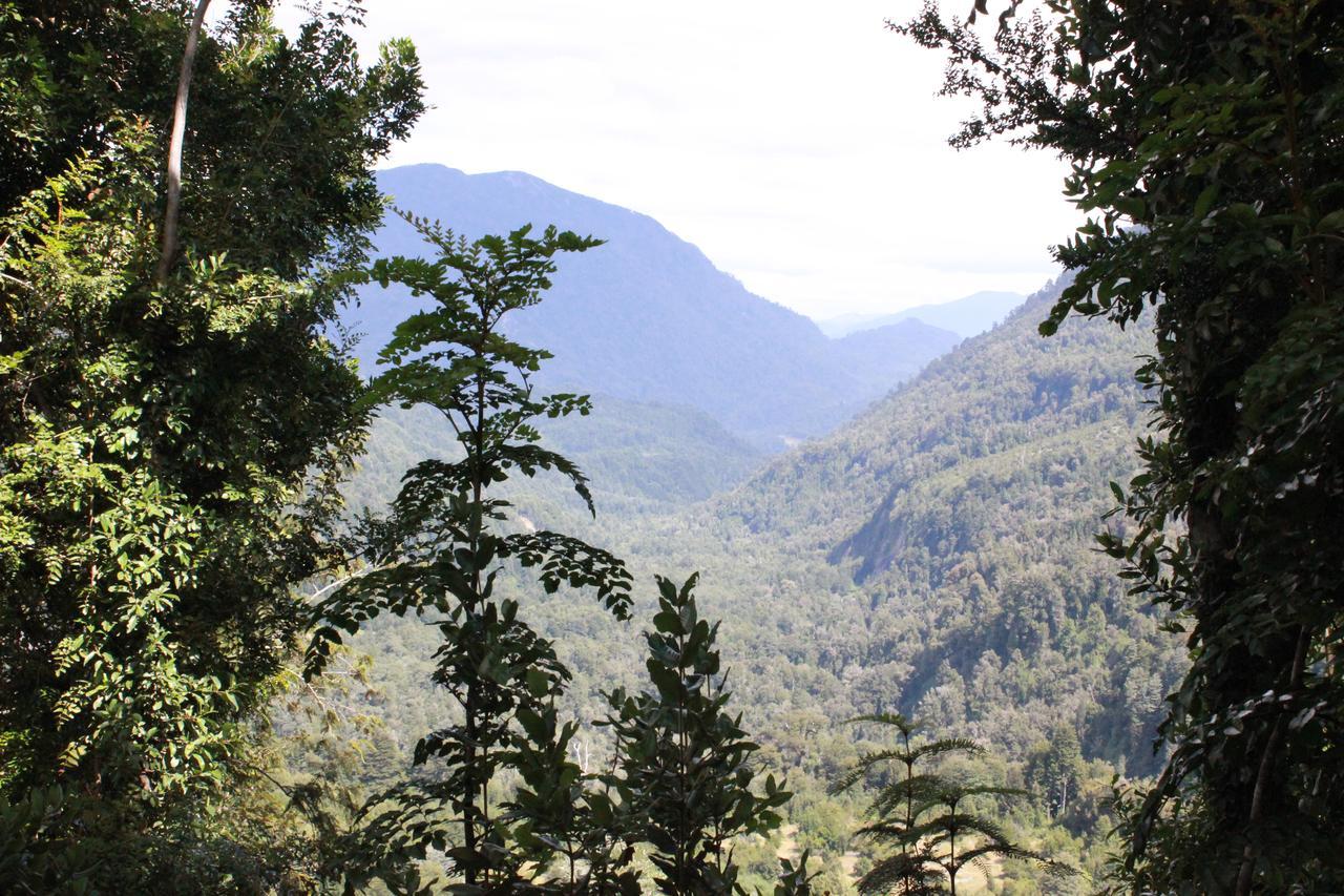 CoñaripeCabana Rustica Patagonia Chilena别墅 外观 照片