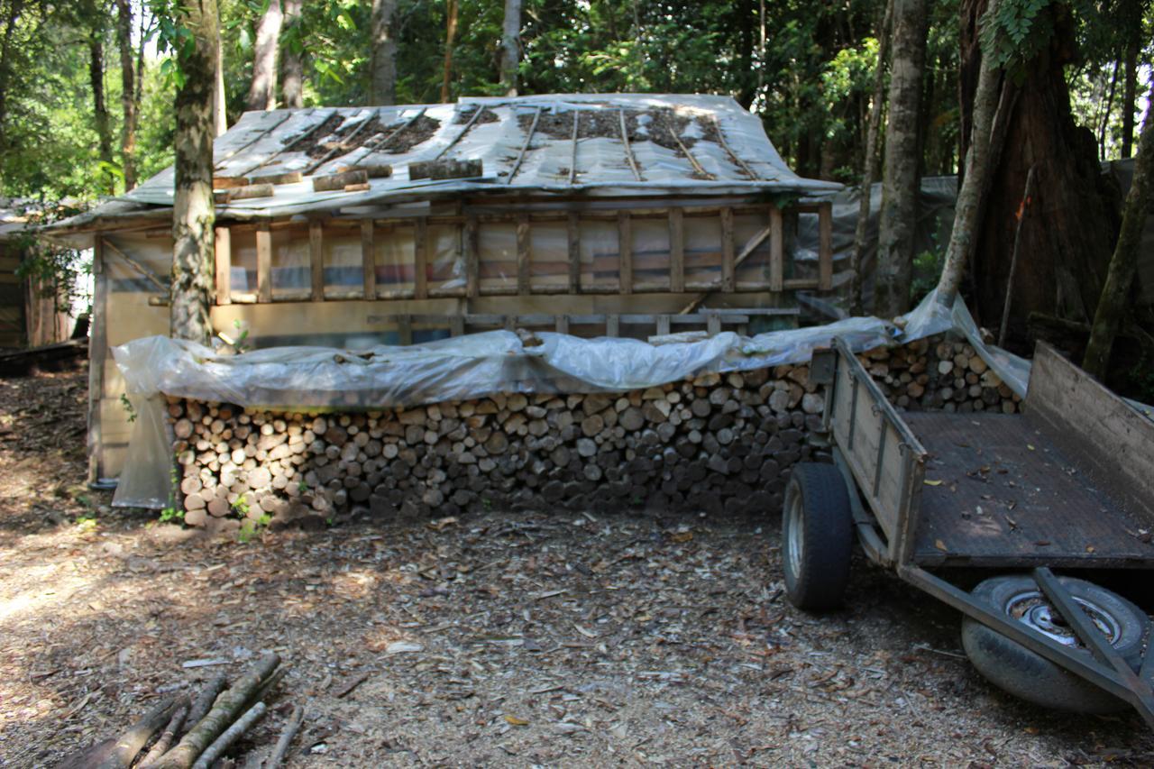 Cabana Rustica Patagonia Chilena Coñaripe 外观 照片