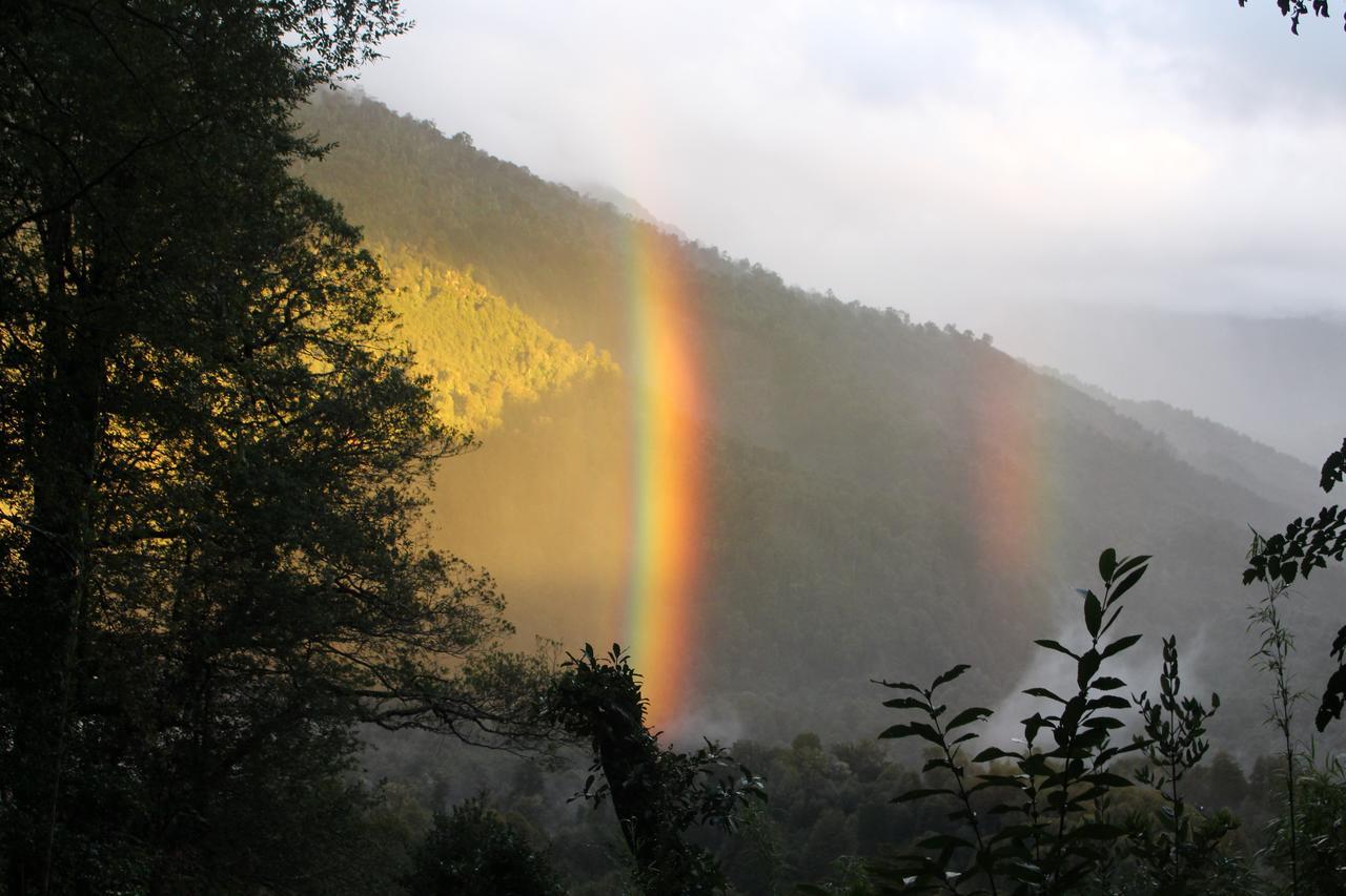 CoñaripeCabana Rustica Patagonia Chilena别墅 外观 照片