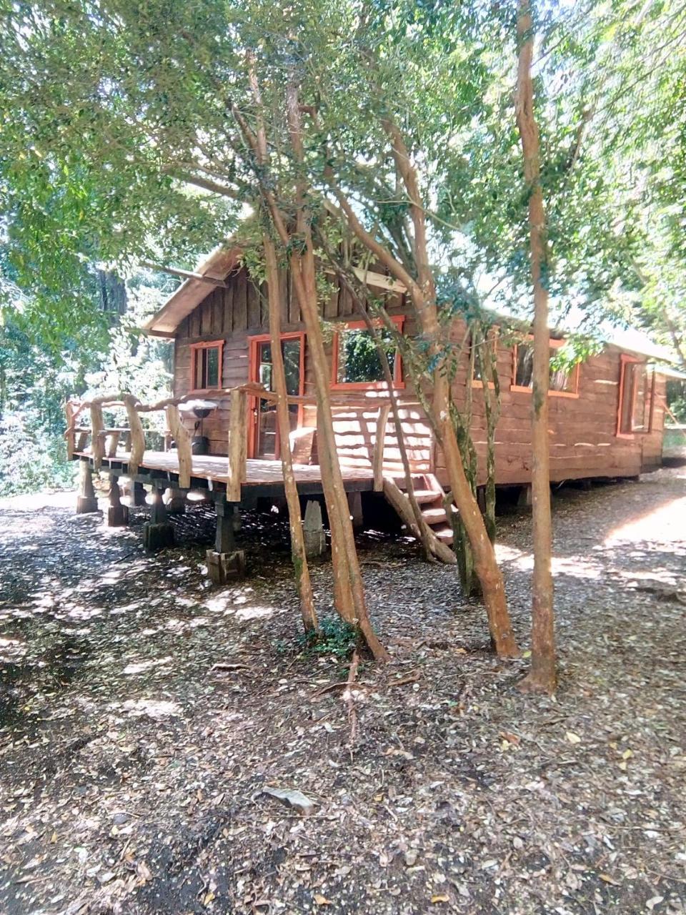 Cabana Rustica Patagonia Chilena Coñaripe 外观 照片